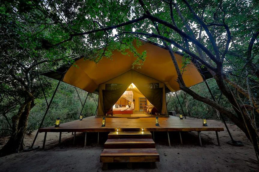 Overnight Luxury Yala Camping Adventure tour package Kataragama Sri Lanka